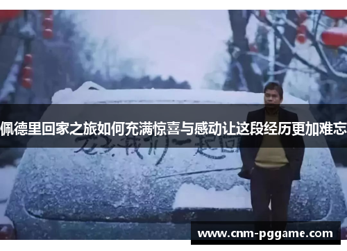 佩德里回家之旅如何充满惊喜与感动让这段经历更加难忘