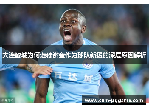 大连鲲城为何选穆谢奎作为球队新援的深层原因解析
