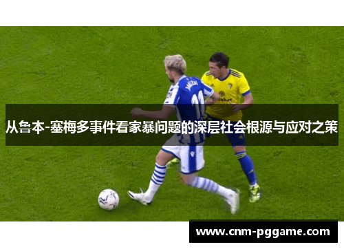 从鲁本-塞梅多事件看家暴问题的深层社会根源与应对之策