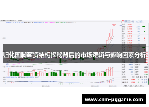 归化国脚薪资结构揭秘背后的市场逻辑与影响因素分析