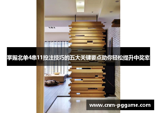 掌握北单4串11投注技巧的五大关键要点助你轻松提升中奖率