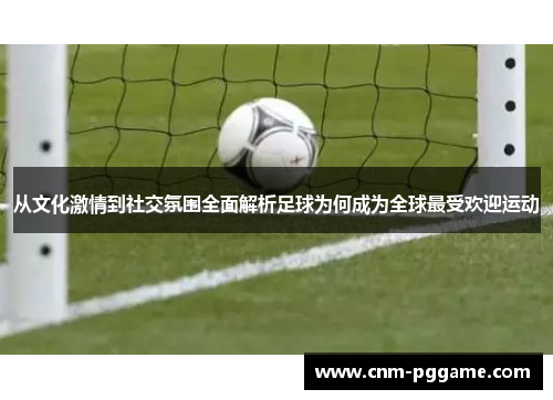 从文化激情到社交氛围全面解析足球为何成为全球最受欢迎运动