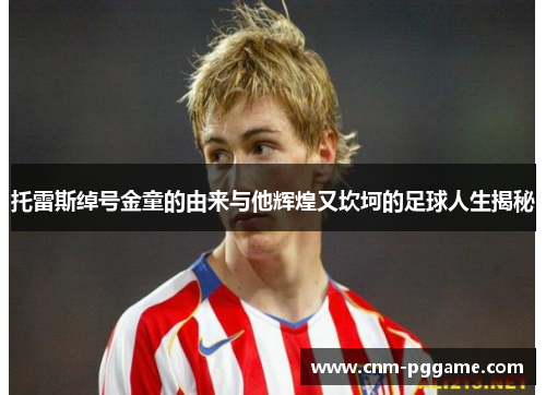 托雷斯绰号金童的由来与他辉煌又坎坷的足球人生揭秘