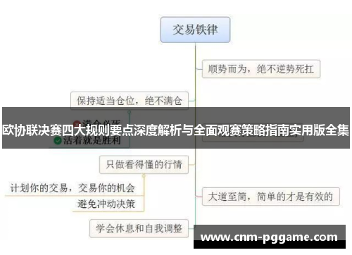 欧协联决赛四大规则要点深度解析与全面观赛策略指南实用版全集