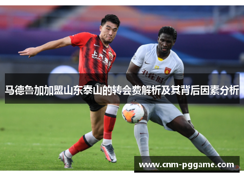 马德鲁加加盟山东泰山的转会费解析及其背后因素分析