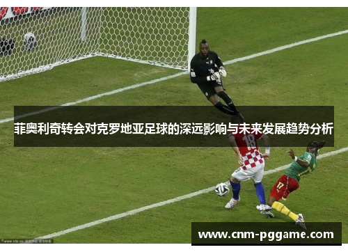 菲奥利奇转会对克罗地亚足球的深远影响与未来发展趋势分析