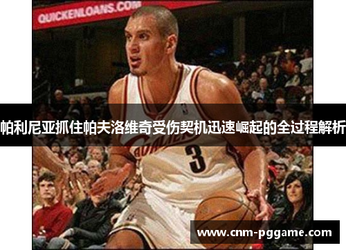 帕利尼亚抓住帕夫洛维奇受伤契机迅速崛起的全过程解析